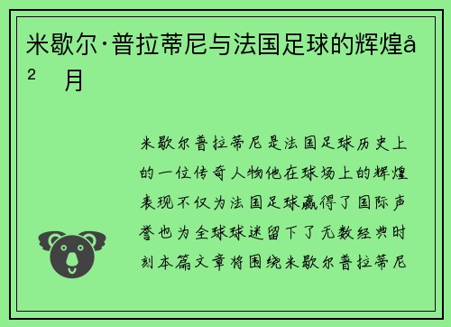 米歇尔·普拉蒂尼与法国足球的辉煌岁月